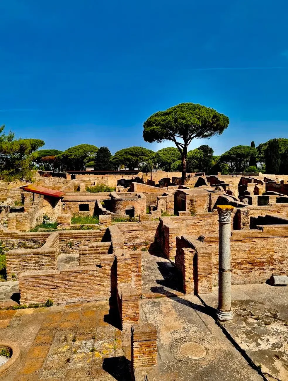 Rome: Ostia Antica Private Tour with Optional Transfer
